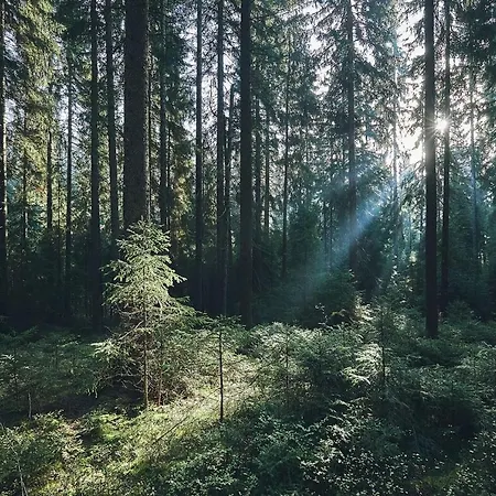 아파트 Loft Of Light *